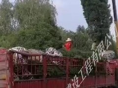 塔柏發(fā)貨廣西百色裝車現(xiàn)場(chǎng)